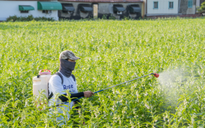 Empregadores são responsabilizados por morte de trabalhador rural intoxicado por agrotóxicos
