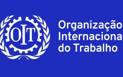 OIT revisa Código de SST Florestal e dados apontam cenário de acidentes no setor