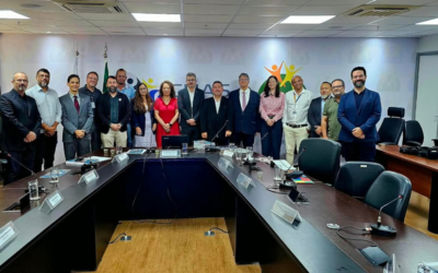 ABRESST participa da 30ª Reunião Ordinária da CTPP e acompanha revisão das Normas Regulamentadoras
